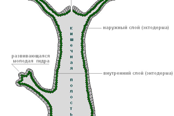 Kraken17 at сайт